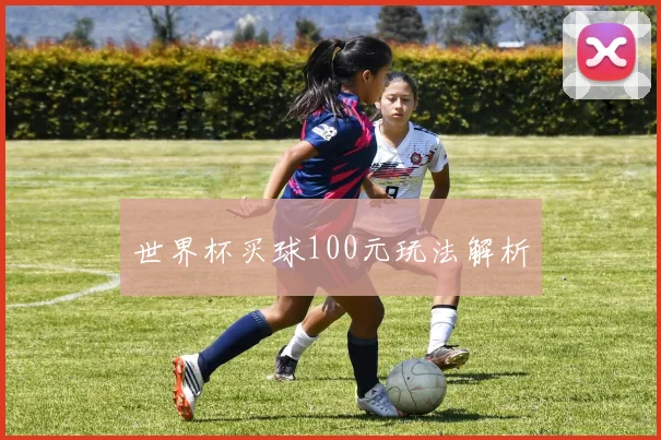 世界杯买球100元玩法解析