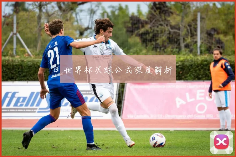 世界杯买球公式深度解析