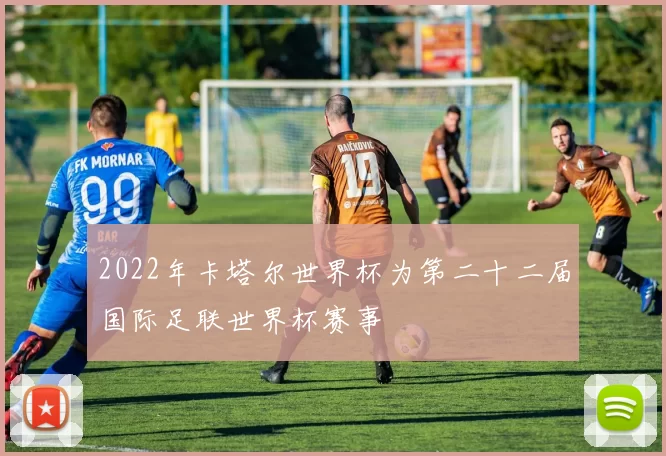 2022年卡塔尔世界杯为第二十二届国际足联世界杯赛事