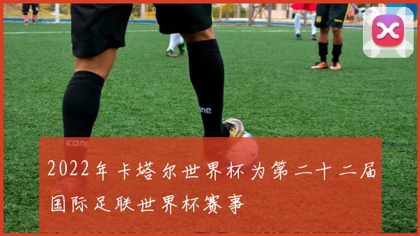 2022年卡塔尔世界杯为第二十二届国际足联世界杯赛事