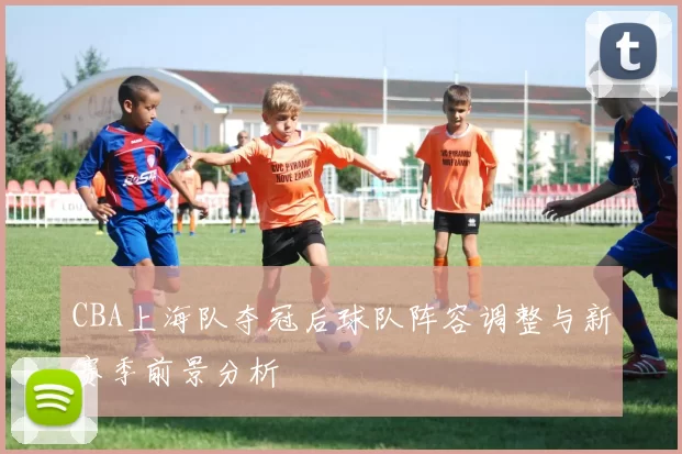 CBA上海队夺冠后球队阵容调整与新赛季前景分析