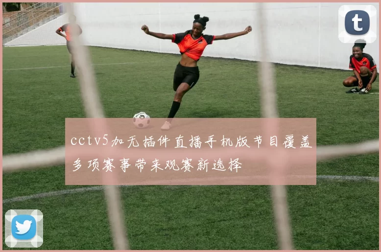 cctv5加无插件直播手机版节目覆盖多项赛事带来观赛新选择