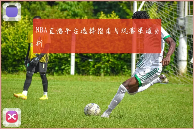NBA直播平台选择指南与观赛渠道分析